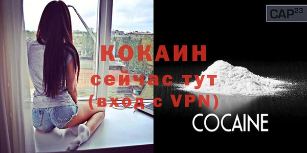шишки Ельня
