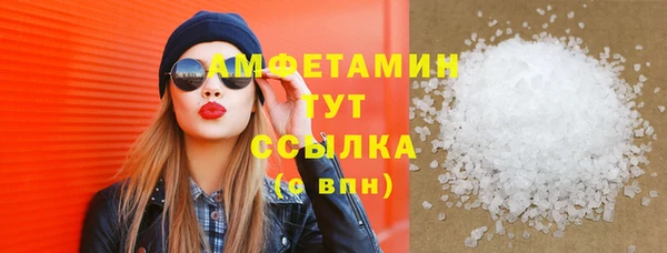 шишки Ельня
