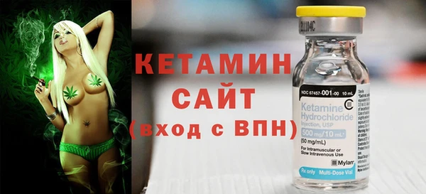шишки Ельня
