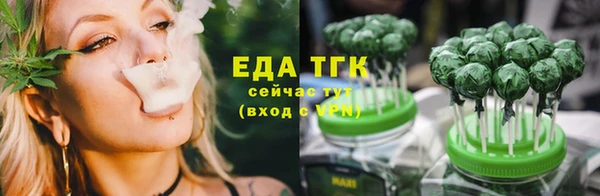 шишки Ельня