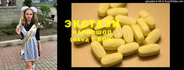 шишки Ельня