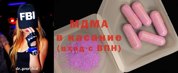 шишки Ельня