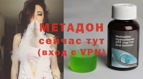 шишки Ельня