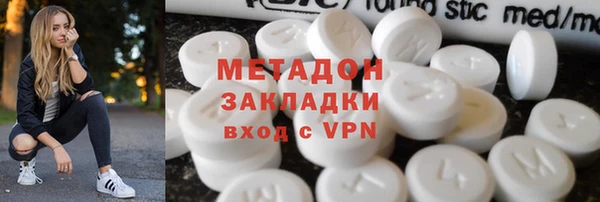 шишки Ельня