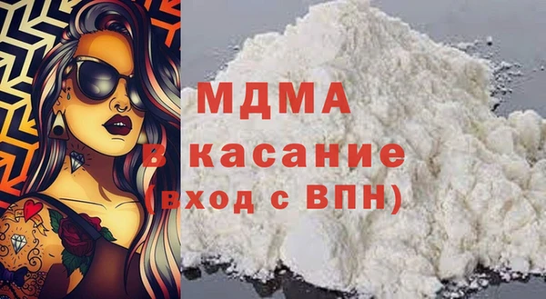 шишки Ельня