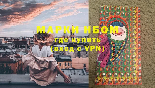 шишки Ельня