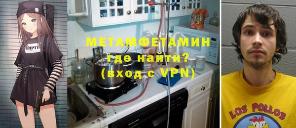 шишки Ельня