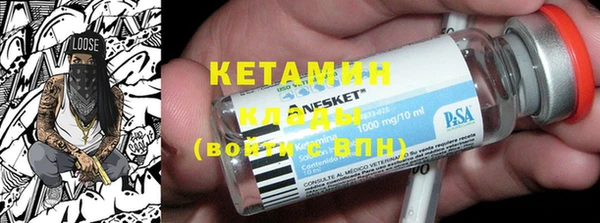 шишки Ельня
