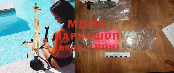 шишки Ельня