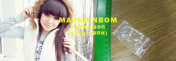 шишки Ельня