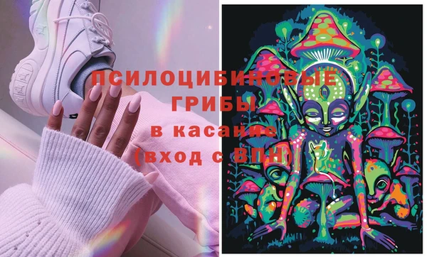 шишки Ельня