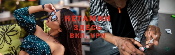 шишки Ельня