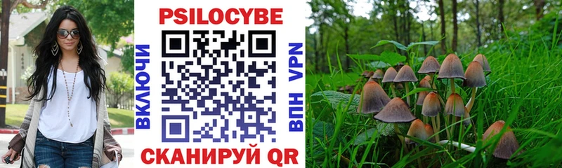 Псилоцибиновые грибы GOLDEN TEACHER  Купить  Новосибирск 