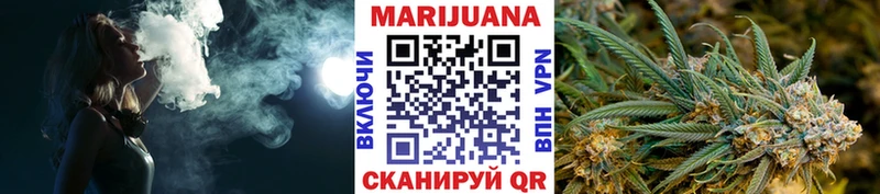Бошки марихуана Amnesia  Купить закладки  Новосибирск 